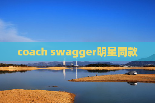 coach swagger明星同款